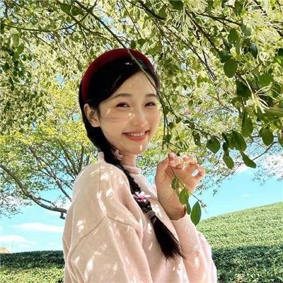 当猪起飞