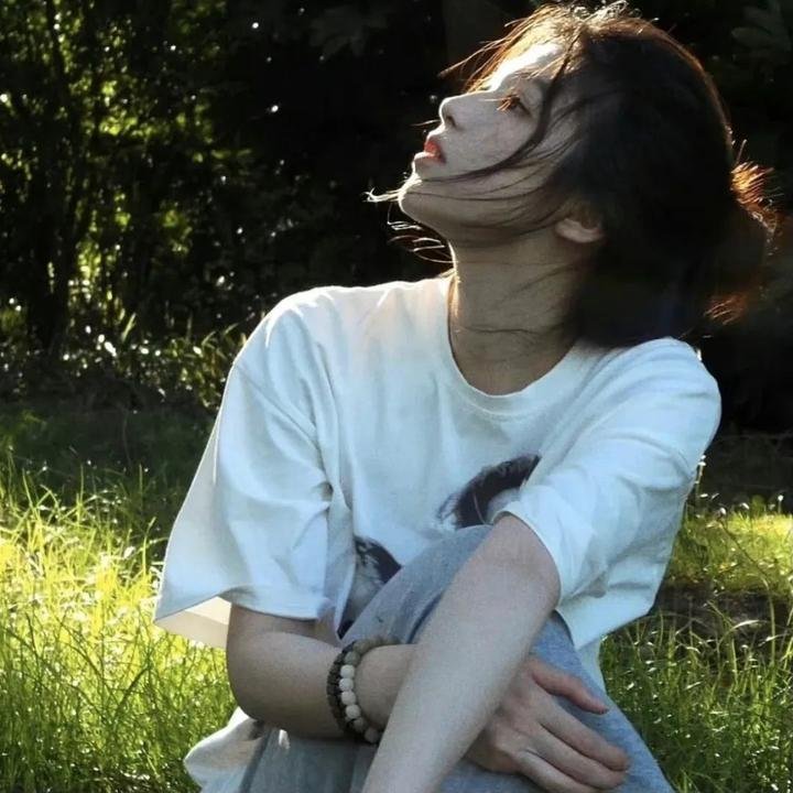 维也纳之舞